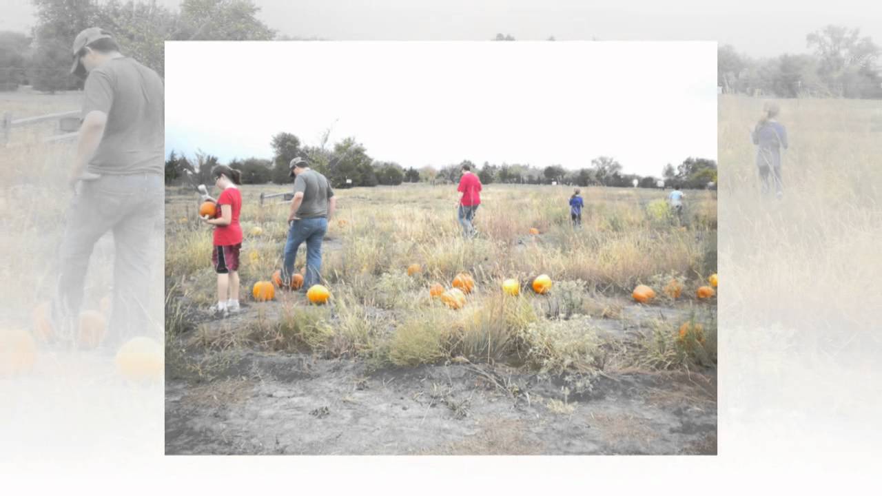 Wichita Pumpkin Patch Mr. Gourdman's Pumpkin Patch Wichita KS 316733