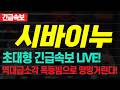 [시바이누 코인전망] 밈코인 시바리움 싹 털렸다! "여기가" 최저바닥입니다 절대 놓치지 마세요!