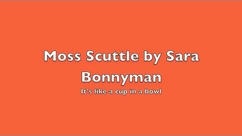 Moss Scuttle by Sara Bonnyman Pottery