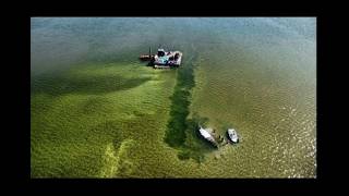 Wal Hope Fahrrinne Neue Bilder | Statement Backhaus