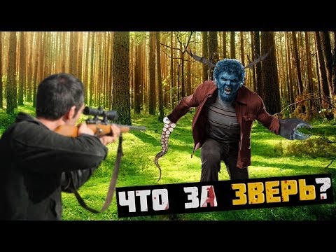 ЧТО ЗА ЗВЕРЬ?!