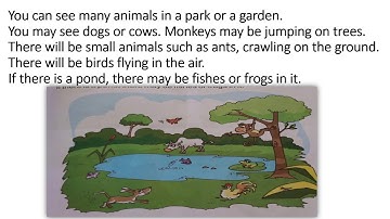1 std. EVS lesson 12 animals around us.