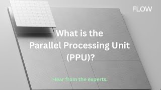 What is the PPU?
