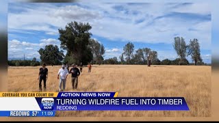 Redding lands California's pioneering mass timber facility