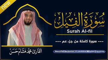 سورة الفيل (كاملة) بصوت القارئ | محمد هشام | قراءة خاشعة & Juz Amma