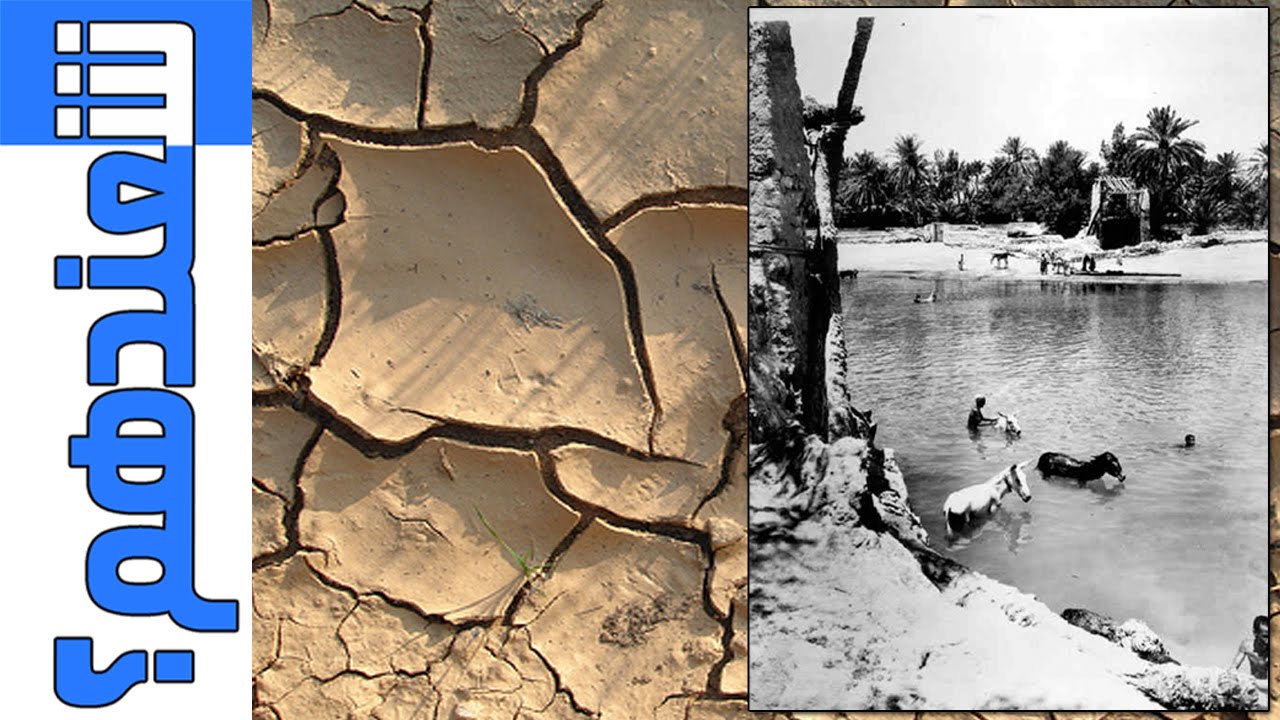 #شعندهم l الألمان وتسببهم في جفاف عيون #الأحساء