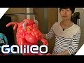 Der Luftballon-Künstler | Galileo | ProSieben