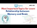 Relationship between Memory and Brain
