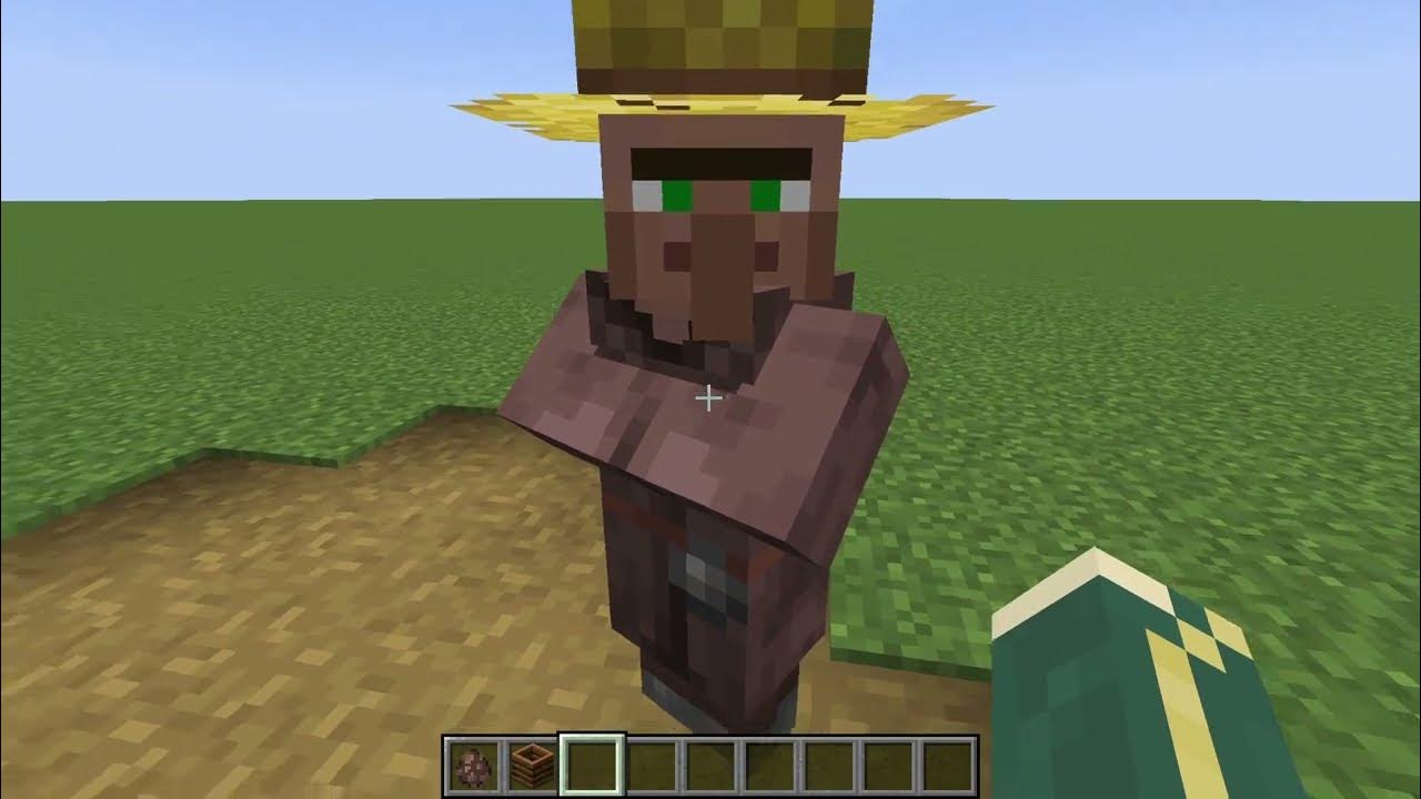 How to lure villagers without using any crops YouTube