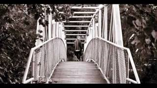 Rolf Carlsson - Ett hem på jorden