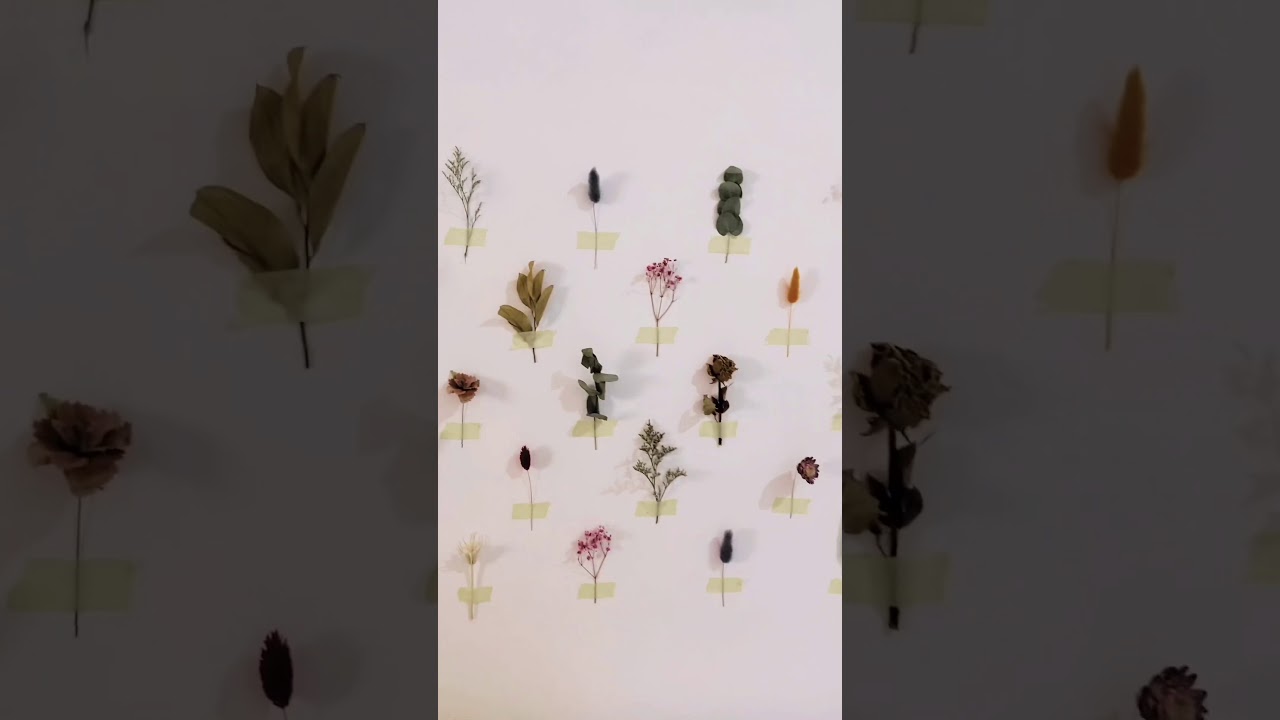 Rangkai DIY KITS - Dried Flower Wall Decor