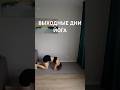 ВЫХОДНЫЕ ДНИ ЙОГА. Йога Айенгара. #yoga #спорт #спокойствие #вдохновение