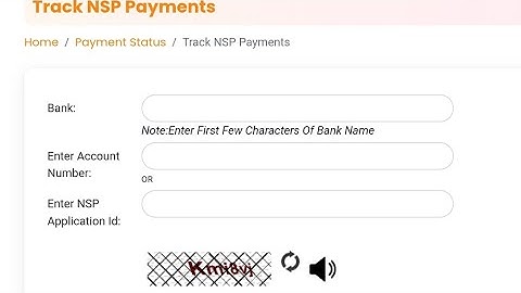PFMS Resumed How to check status of NSP Scholarship whose status if sent to PFMS