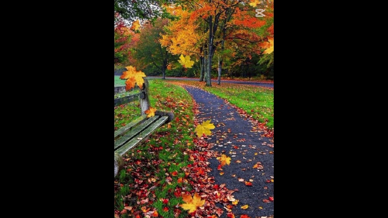 الحزب الثالث والثلاثون《 33 》برواية ورش #المصحف #اكسبلور #دويتو #تيك_توك 