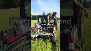 Building an Electric Fence Pasture for Our Calves and Horses