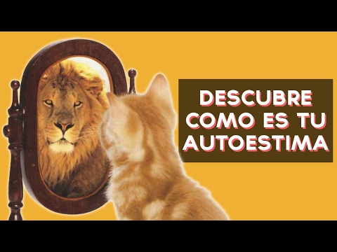 Video: La Autoestima Es Una Prueba De Autocomprensión