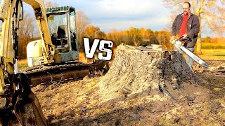 Mini Excavator VS Massive Stump. Is It Even Possible?