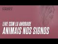 Animais nos Signos, Reencarnação de Animais e 5ª Dimensão no Judaísmo | Live com Lu Andrade