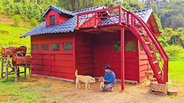 🌲 3 Years Alone Off-Grid: Building a Cabin & Filming Everything Without Power 🔋📸