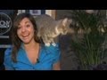 Thumb of Curious Cat Drops In On Local News video