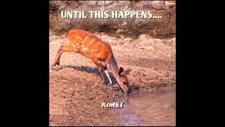 Moment Before Disaster 💀 #edit