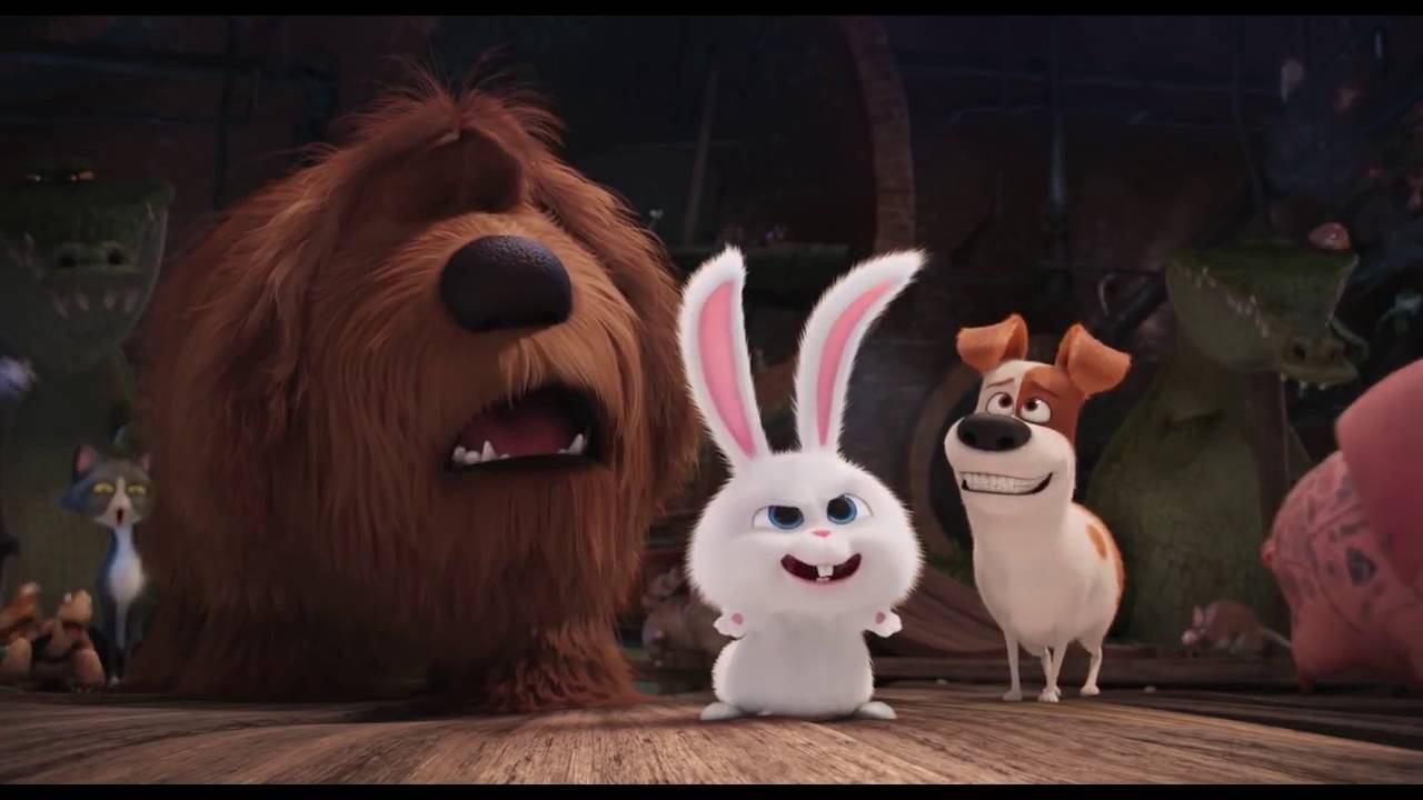 The Secret Life of Pets Kevin Hart Is Snowball HD Illumination YouTube