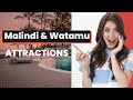 Top 12 Places To Visit In Malindi And Watamu Kenya