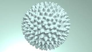A simulation for the Gray-Scott model on a sphere Net Worth