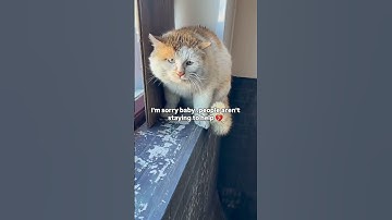 Please don’t scroll past—your kindness can feed a life today. Link in bio to donate❤️