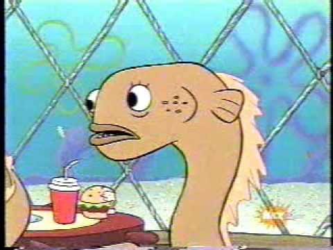 sadly i am only an eel youtube hqdefault sadly i am only an eel youtube