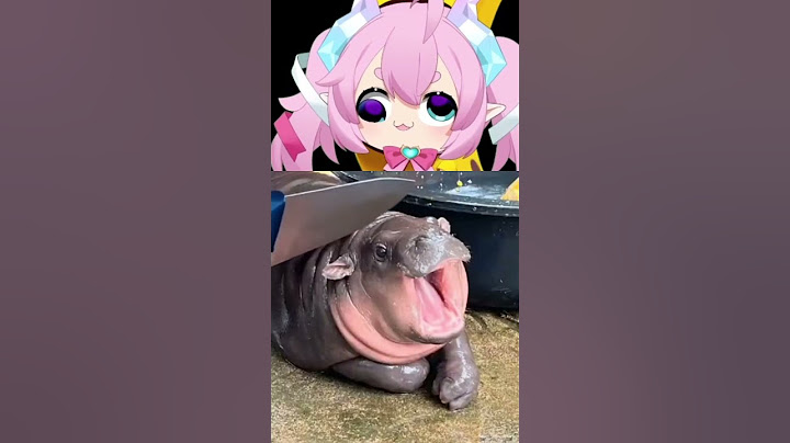 NOO!! MOO DENG!! 😭 #shorts #chibidoki #vtuber #moodeng