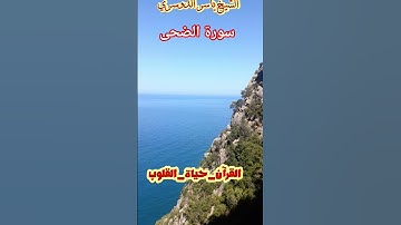 سورة الضحى الشيخ ياسر الدوسري  #القزابري #لايك #المصحف #الرحمن #راحة_نفسية #تيك_توك #حالات_واتس
