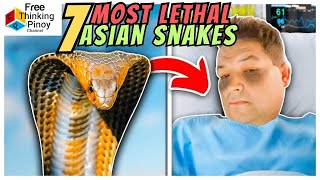 Lalaki NAMAGA dahil sa Tuklaw ng Cobra | Top 7 Dangerous Snakes of Asia