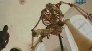 Download lagu funny video funny video