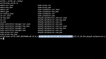 10   Generating the Kubernetes API Server Certificate