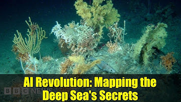 AI Revolution: Mapping the Deep Sea