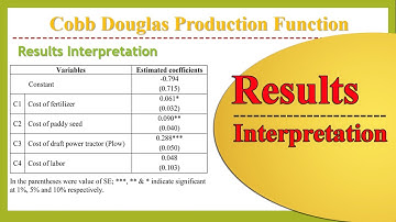 Results Interpretation | Cobb Douglas Production Function