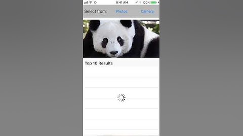 iOS Machine Learning Demo: Image Detection