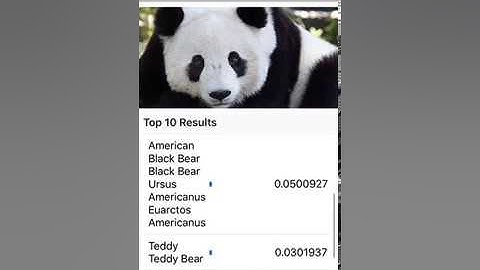 iOS Machine Learning Demo: Image Detection