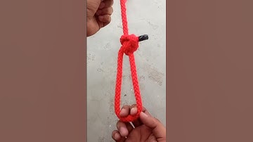 Farmers Halter Loop knot #viral #knot