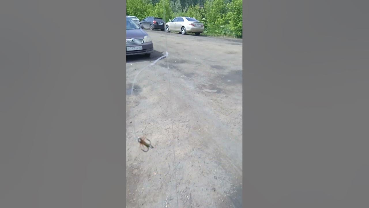 Снасть на хариуса. Сплетня или балда. - YouTube