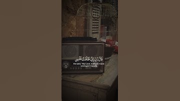 سورة : القصص - Al-Qaṣaṣ( قال رب إني ظلمت نفسي فاغفر لي فغفر له إنه هو الغفور الرحيم)🤍#quran