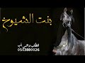 شيله بنت الشيوخ اداء محمد الهوشان 2025 شيله معربه جدان محمد الهوشان حماسيه طرب رقص جديد 2025
