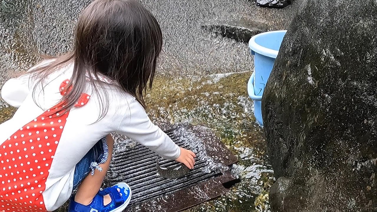 2歳と滋賀永源寺グリーンランドでいわな・あまご釣り＆つかみ取り＆BBQ
