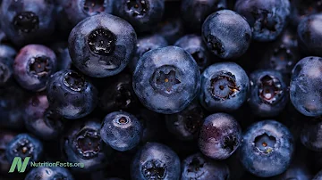 Are blueberries brain food?
