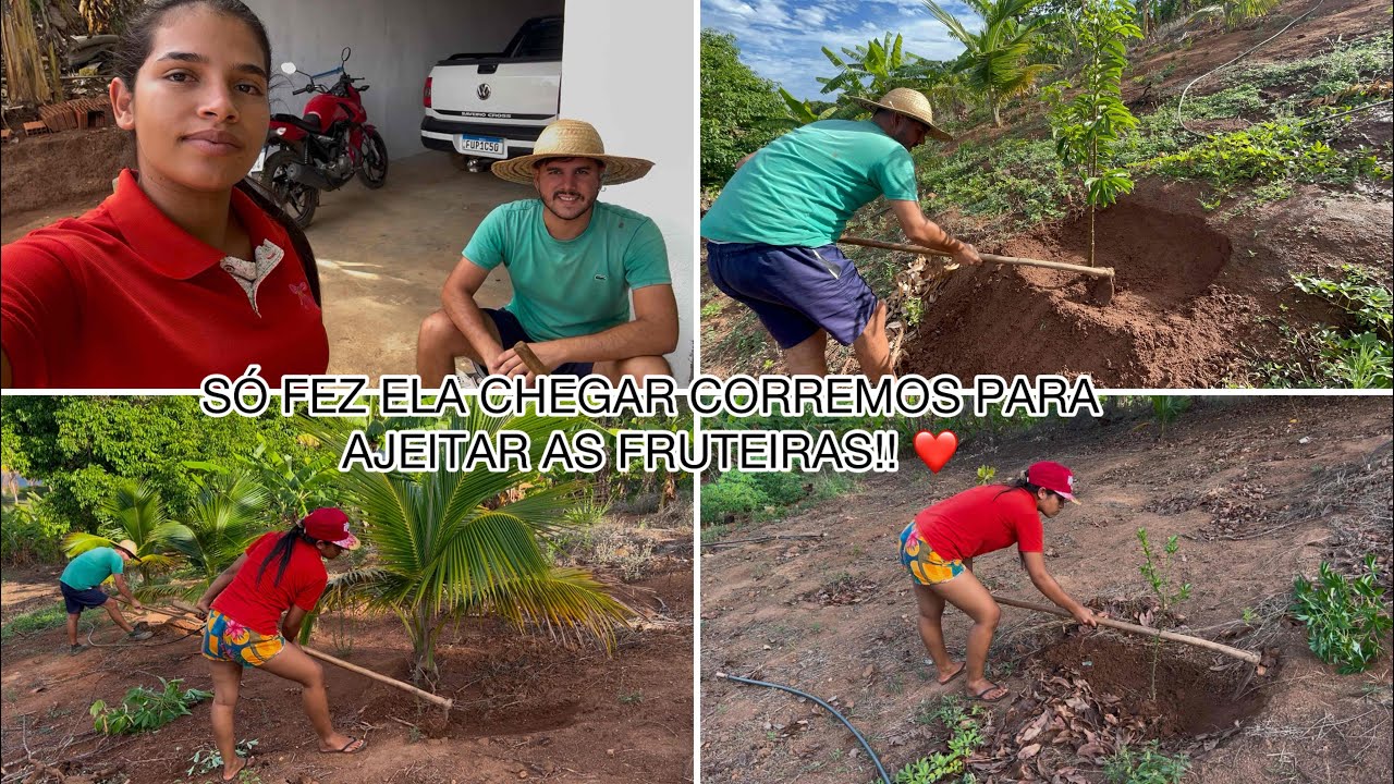 DIA DE ORGANIZAR NOSSAS FRUTÍFERAS, VEJAM COMO FICOU !! ❤️