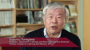 Basolateral to Central Amygdala Neural Circuits for Appetitive Behaviors