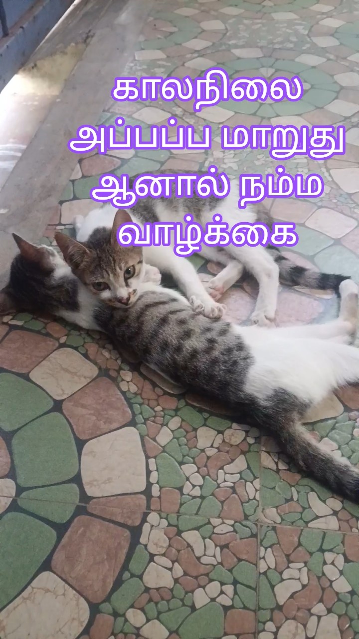 🙏ஏகாதசி🕉️ - ShareChat