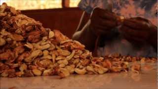 Cashew Nut and Fruit Processing - Peace Corps Ghana