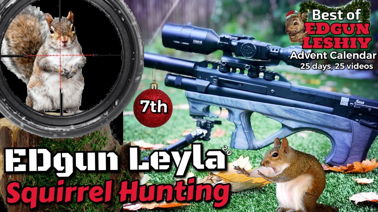 Day 7: Squirrel Hunting with the EDgun Lelya and ATN X Sight 4K Pro ...